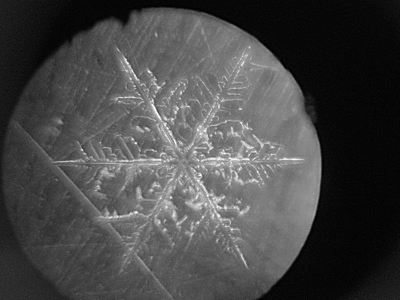 Foto: Schneestern unter dem Mikroskop