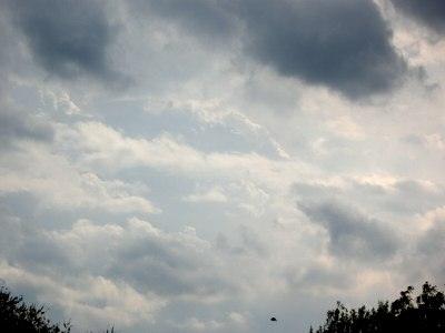 Foto: Hohe Haufenwolken am Nachmittag vor einem Gewitter