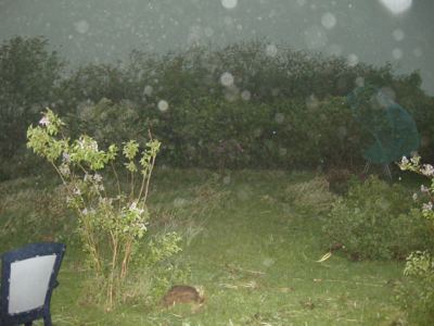 Foto: Sturmböen und heftiger Regen während eines Gewitters