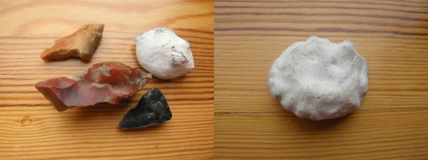 Foto: verschiedene Feuersteine und ein Fossil eines Armfüßers